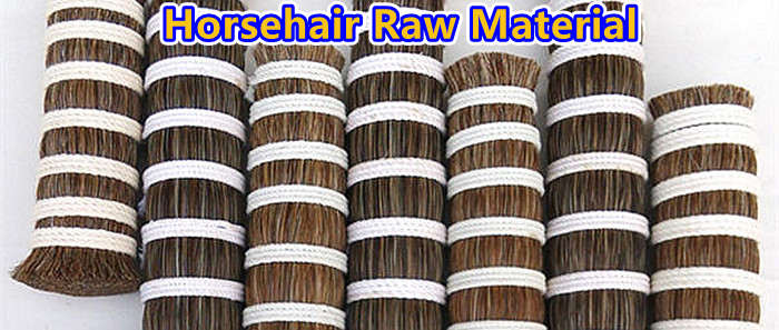 Horse Hair Bristles