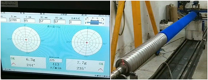 Dynamic Balanced Roller Brush